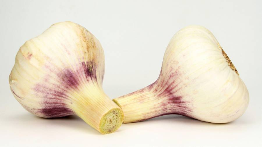 Knoblauch: Die Zehe mit gesunder Wirkung