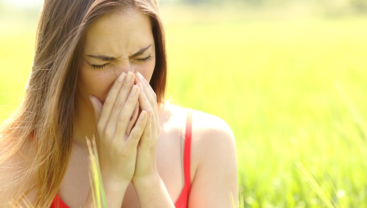 Eiweißsstoffe gegen Allergien