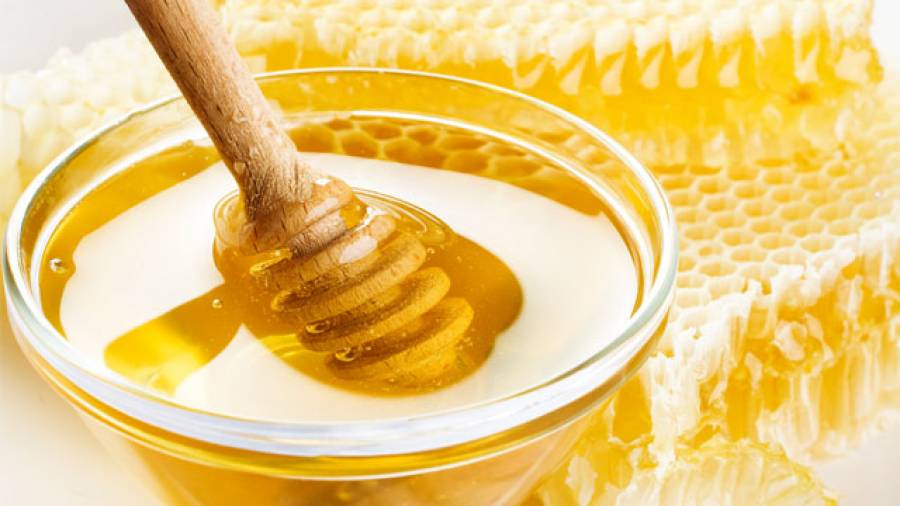 Honig als Wundheilmittel – Wie funktioniert‘s?