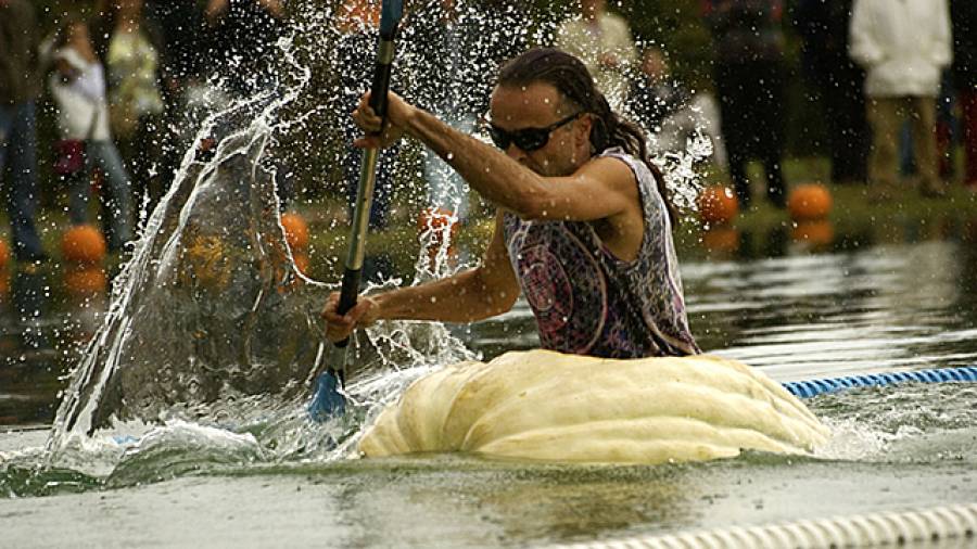 Tollkühne Männer in ihren schwimmenden Kürbissen