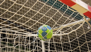 "Handball-WM-Durchführung grundsätzlich nachvollziehbar, aber..."
